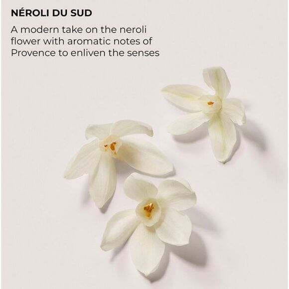 Laura Mercier Stroke Of Fortune Serum Body Cream Trio - Picture 4 of 9